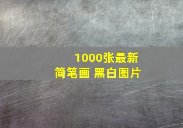 1000张最新简笔画 黑白图片